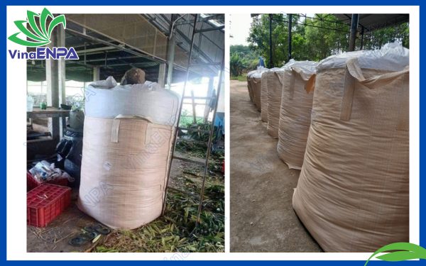 Bao Jumbo ủ cỏ có tải trọng 500kg, 700kg, 1 tấn