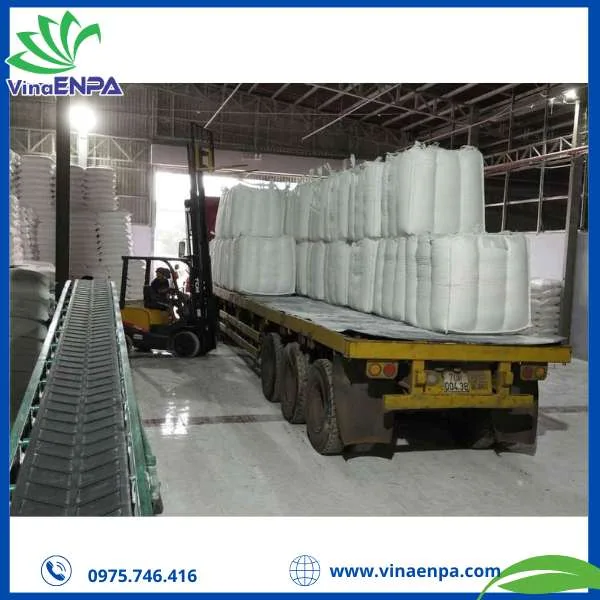 Bao jumbo đưgj bột siêu mịn của VinaENPA
