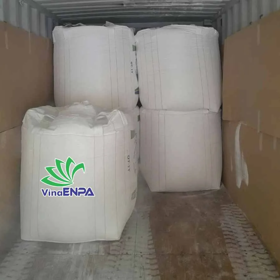BÁO GIÁ BAO JUMBO MỚI NHẤT